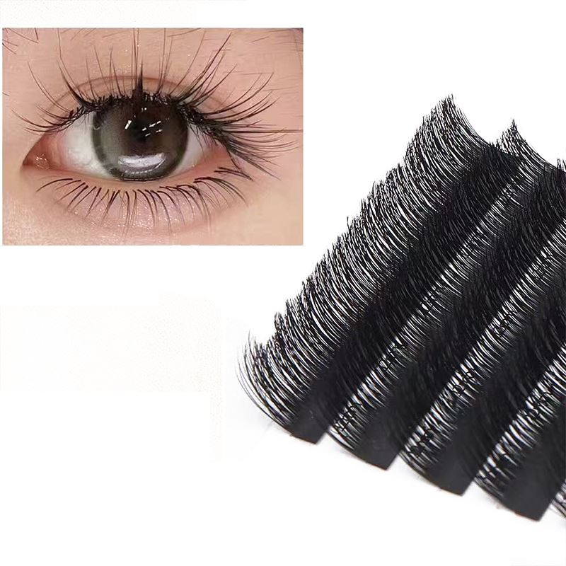 Lashes doeth blewog